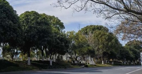 ֱ��21�棡��������ʱ��ȷ��