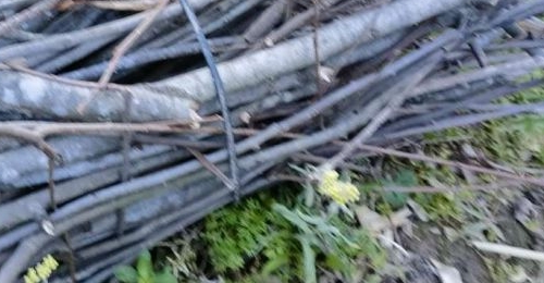 ����Ӱ�����������꣡���Ҫ����