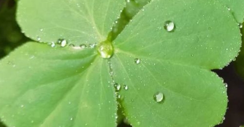 ���գ�����