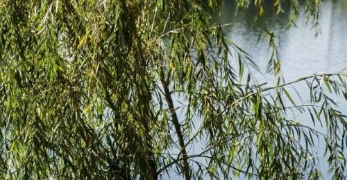 ���22�棡�������ϴ�ת����������