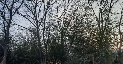 ����¶������������ͬ��ɽ���������������