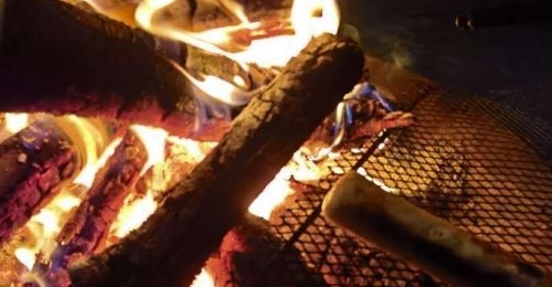 �����Ŀ���