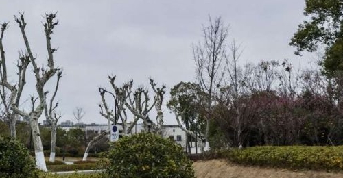 ���գ���