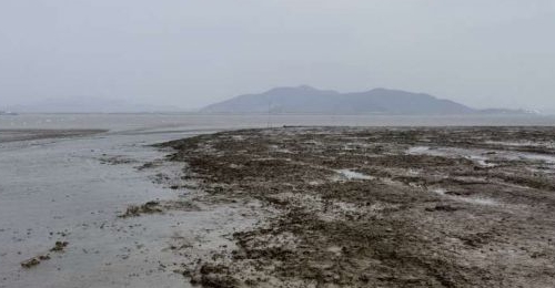 Ԥ����Ӱ�������������򣨽ֵ���