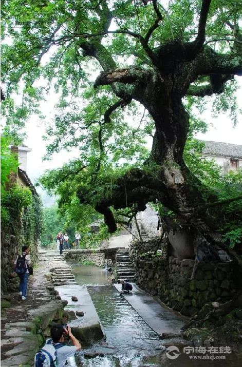 深甽镇龙宫村