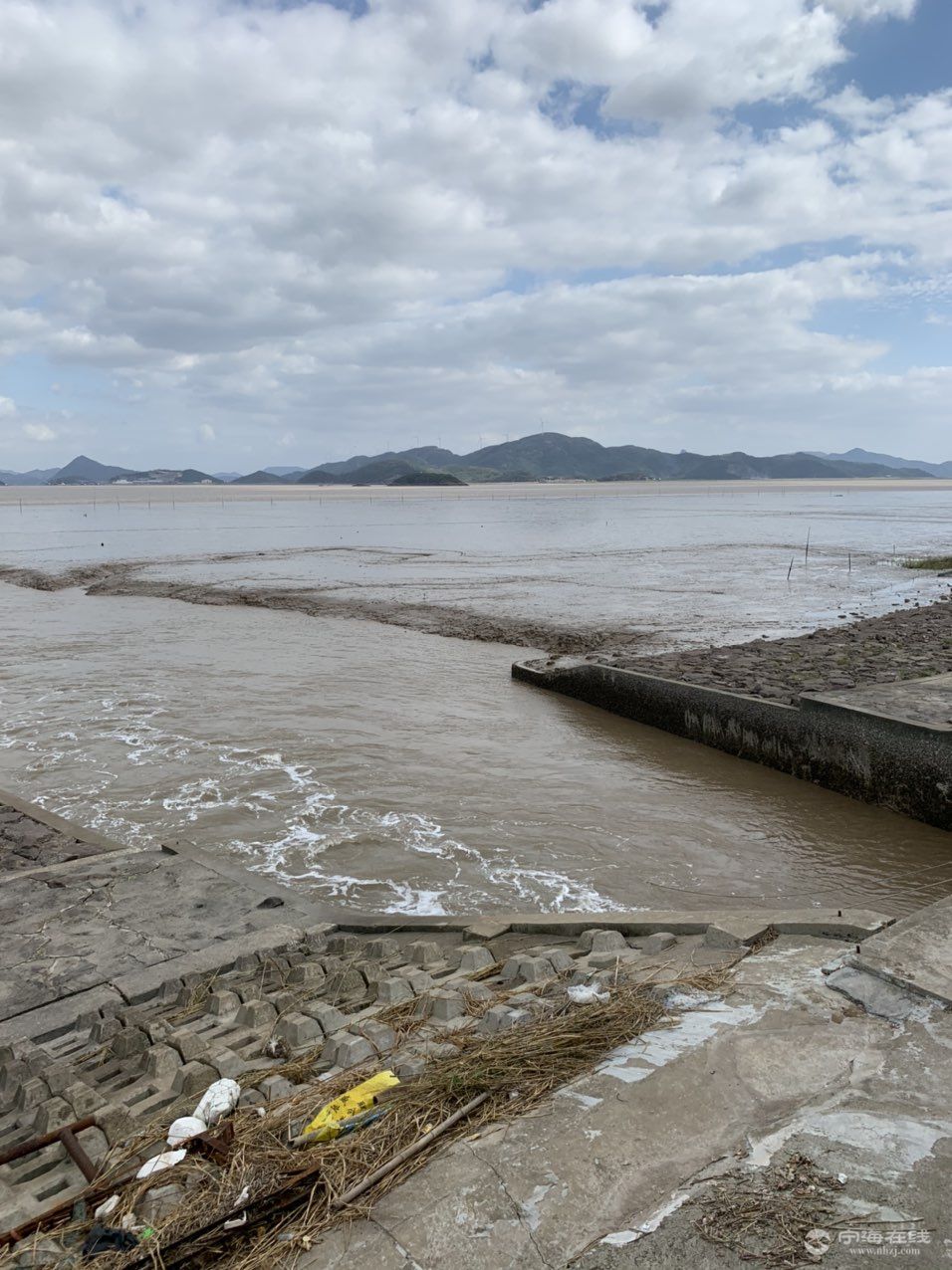 下洋涂放网抓鱼 宁海动态 宁海在线 宁海门户