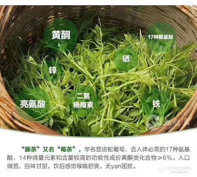 俗称龙须草,藤茶,甘露茶,又称土家神茶,神仙草,药学名称为"显齿蛇葡萄