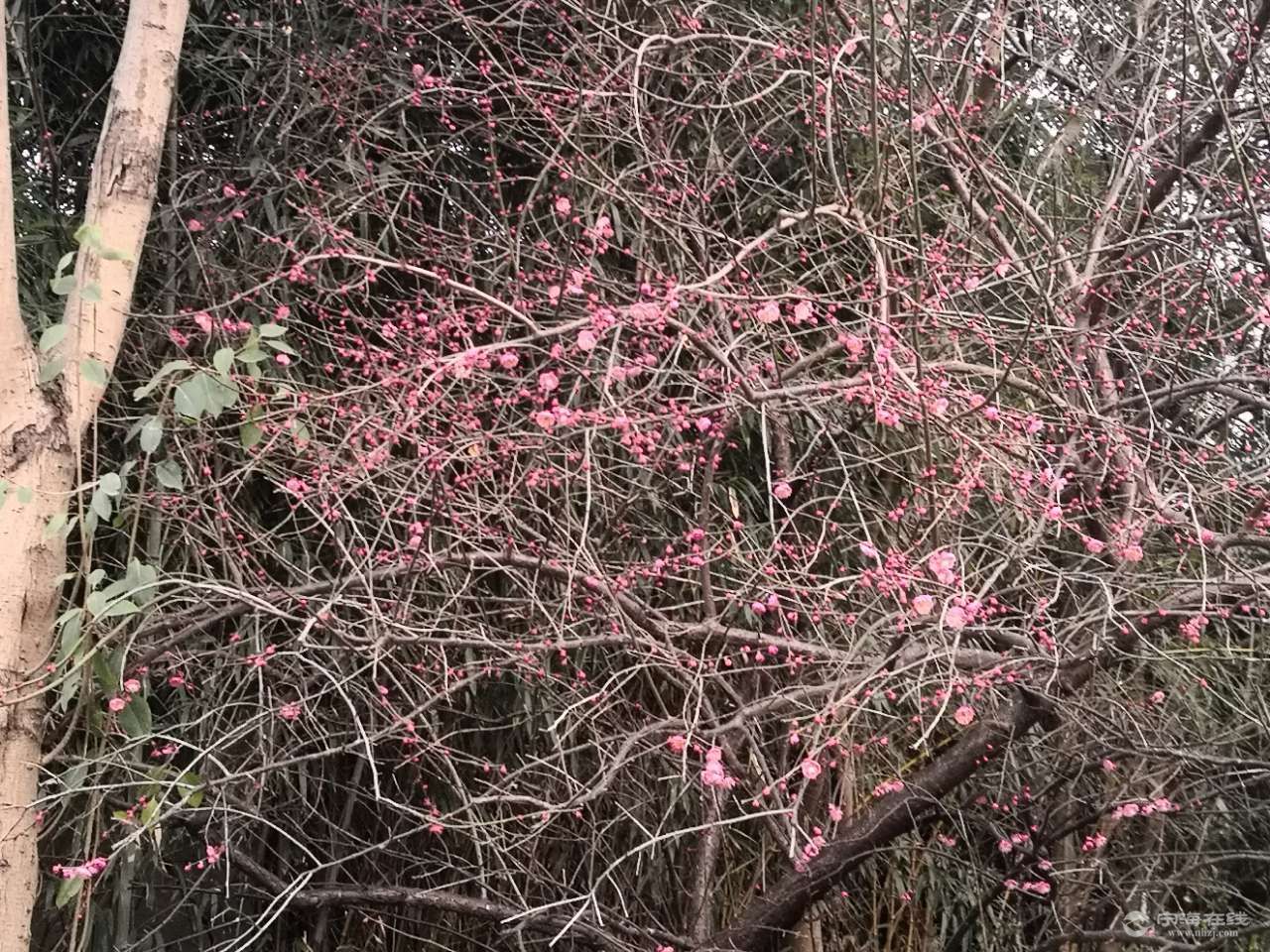 20210204_1244022_1612432232591.jpg