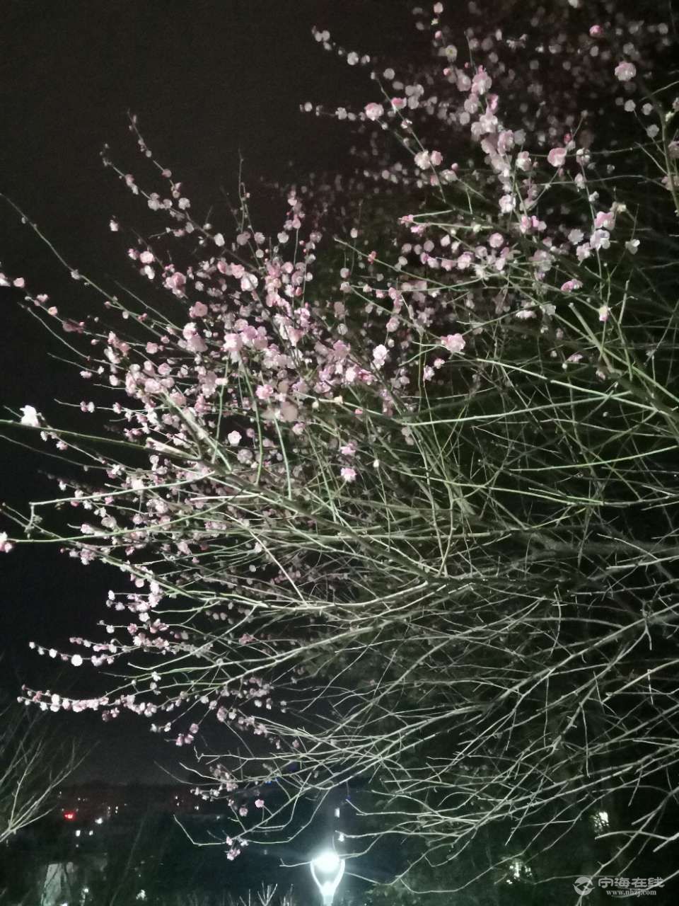 20210214_1244022_1613307218770.jpg