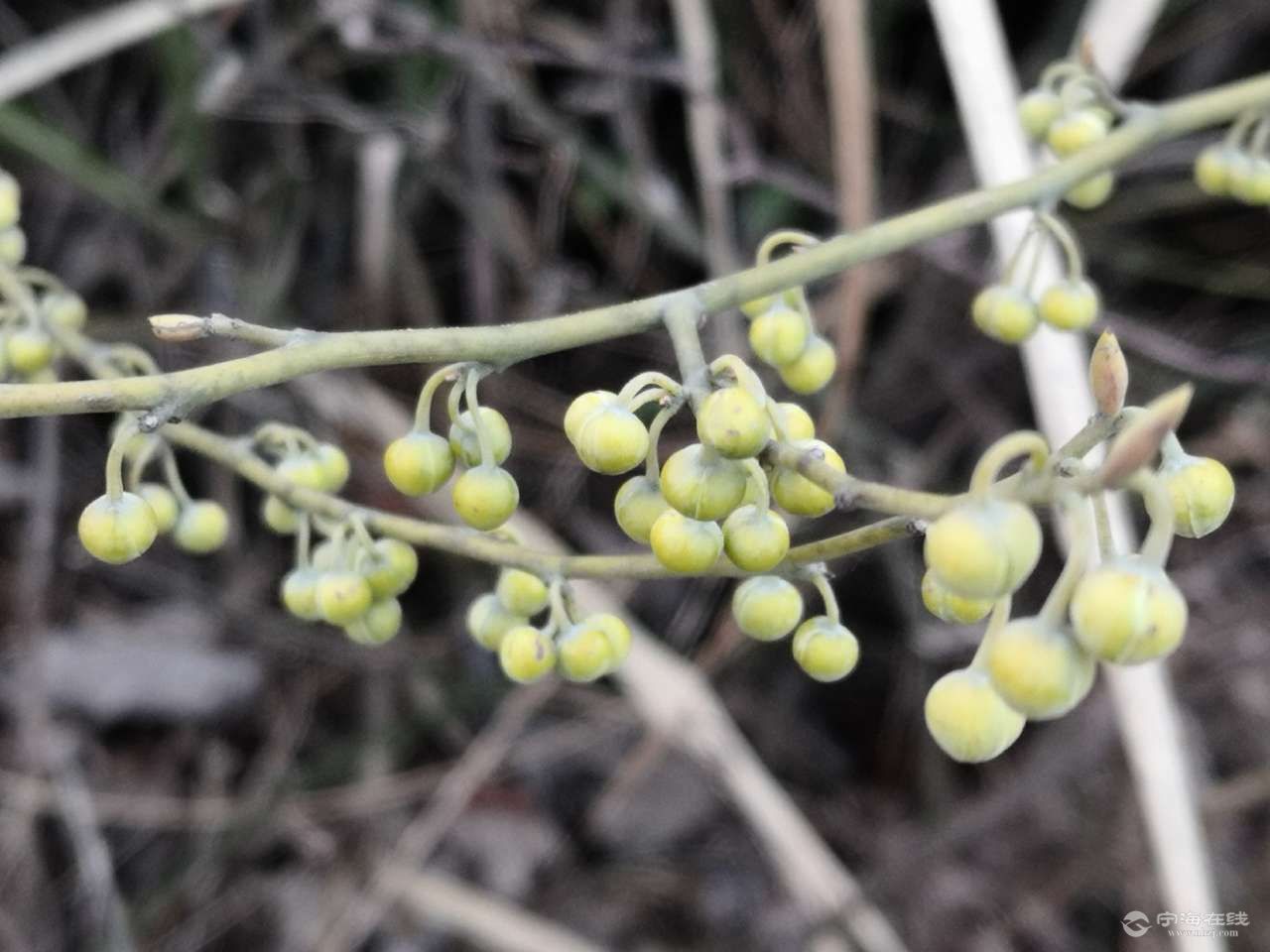 20210215_1244022_1613358382333.jpg