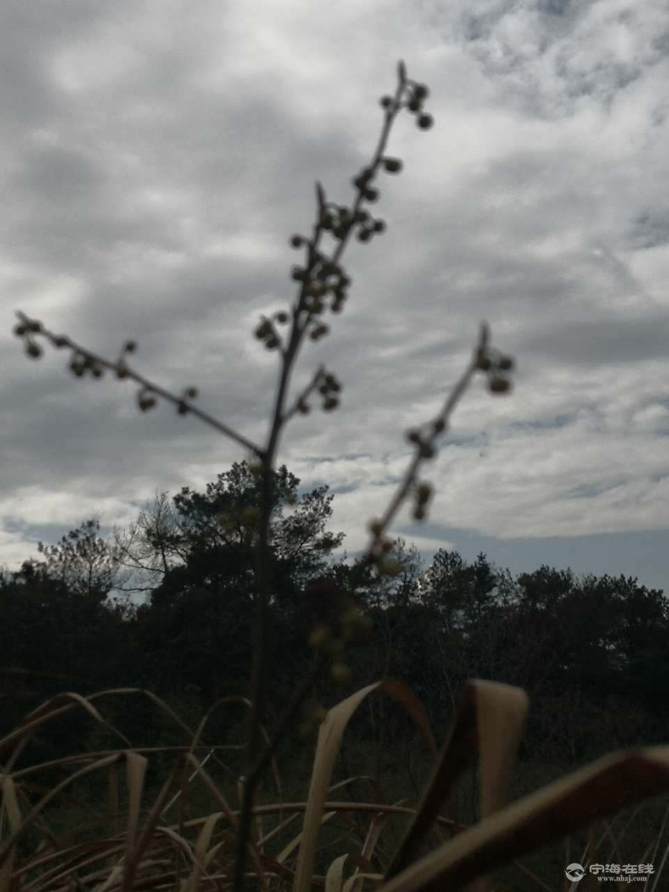 20210215_1244022_1613358381848.jpg