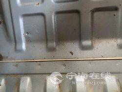 small-b5655d6ea5a911eb973300163e15dc80.jpg