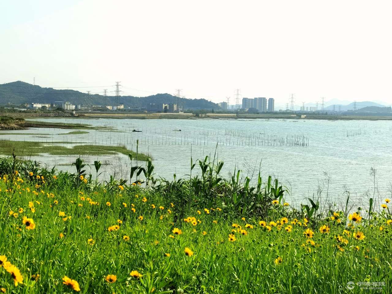 front2_0_FuFkBqN3QGgGPUi3c5vGqyN9qrTR.1620212589.jpg