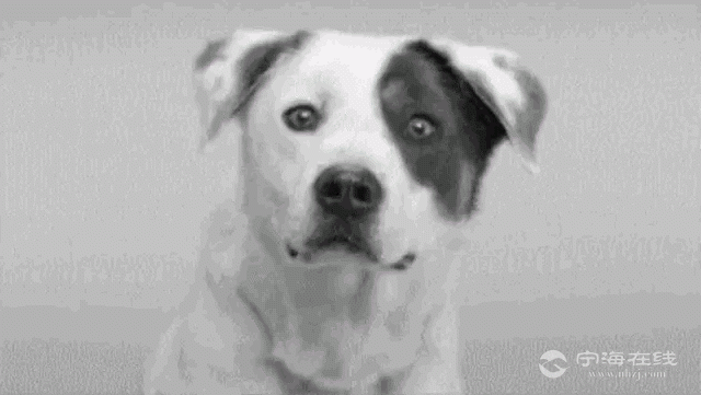 front1_0_FiXCZ3xqrFtUkBOfVyPPmfaUKZ6-.1620366948.gif