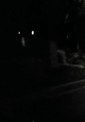 front2_0_lmy3E8qINDoQc6VV7paziHzg9S4h.1625616119.gif