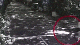 front1_0_Ftz8ZeiwA4EdBcVsDIvBKOOyKz2D.1627703842.gif