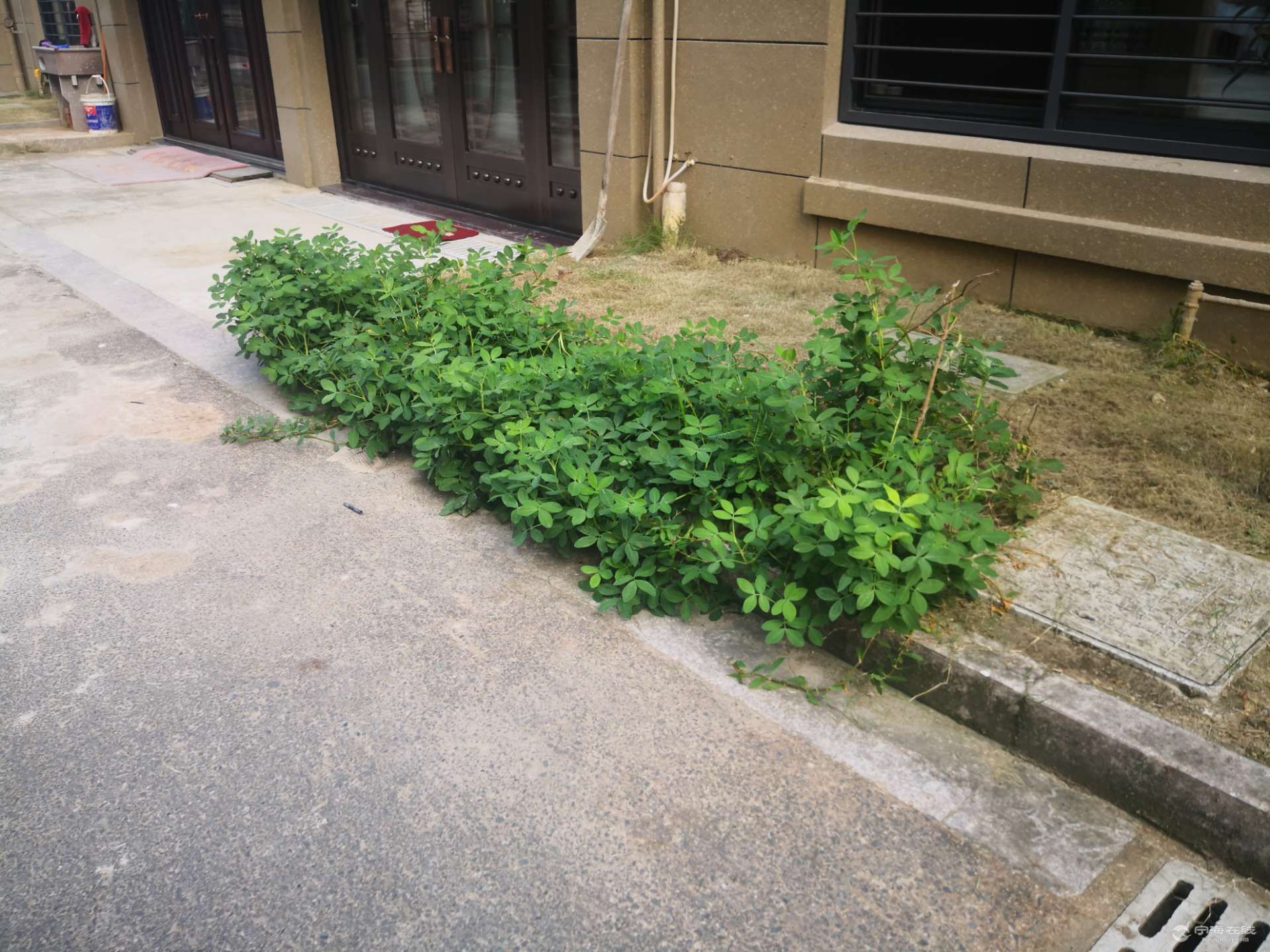 front2_0_Fr2QTVDBLPuf0KtOeMlRXoEC2xwR.1629508275.jpg