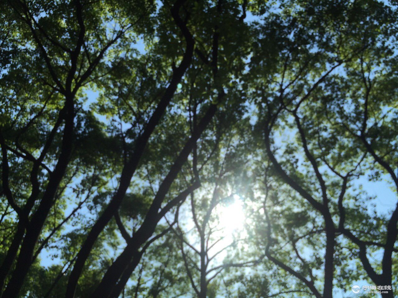 095615d8z005jj4ir108jh.jpg
