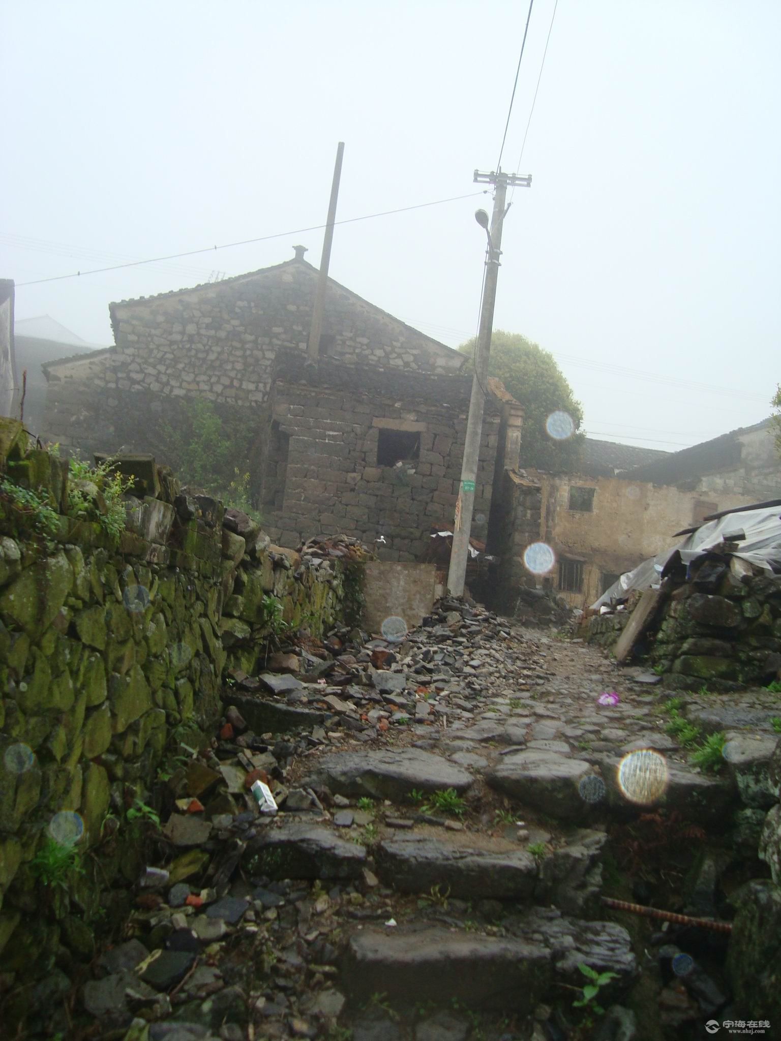 Compress_DSC01121.JPG