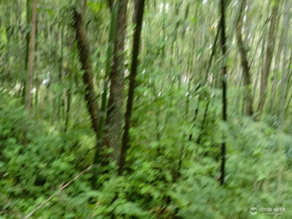 20250505071637front2_0_199669_Fm_Ac6Lgm868gHjNRM6BpEoCK8_F.jpg