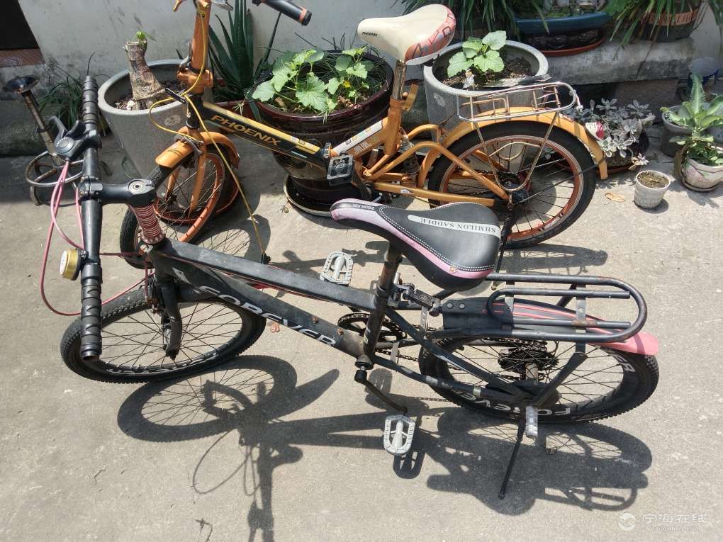 20250512105701front2_0_1286078_FqOhchSFfY5MFt1f5E21Iaz_9Vf6.jpg