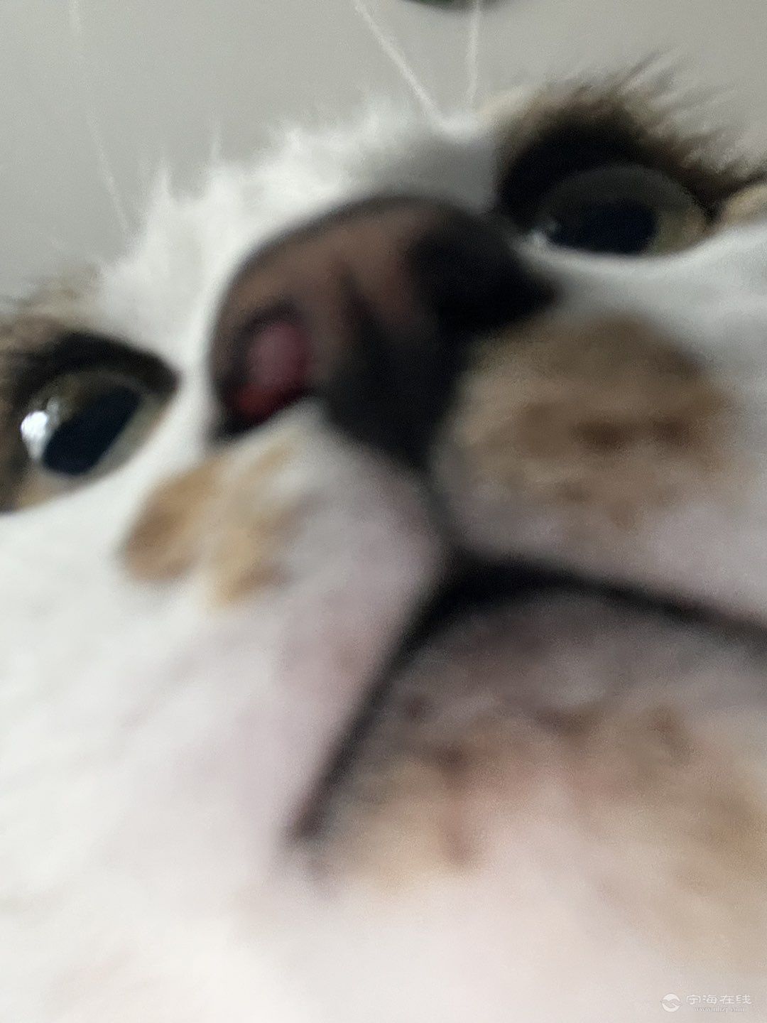 20250519145622front1_0_1297050_FsqqArdaETIzScOydvRrTa0b7ASx.jpg