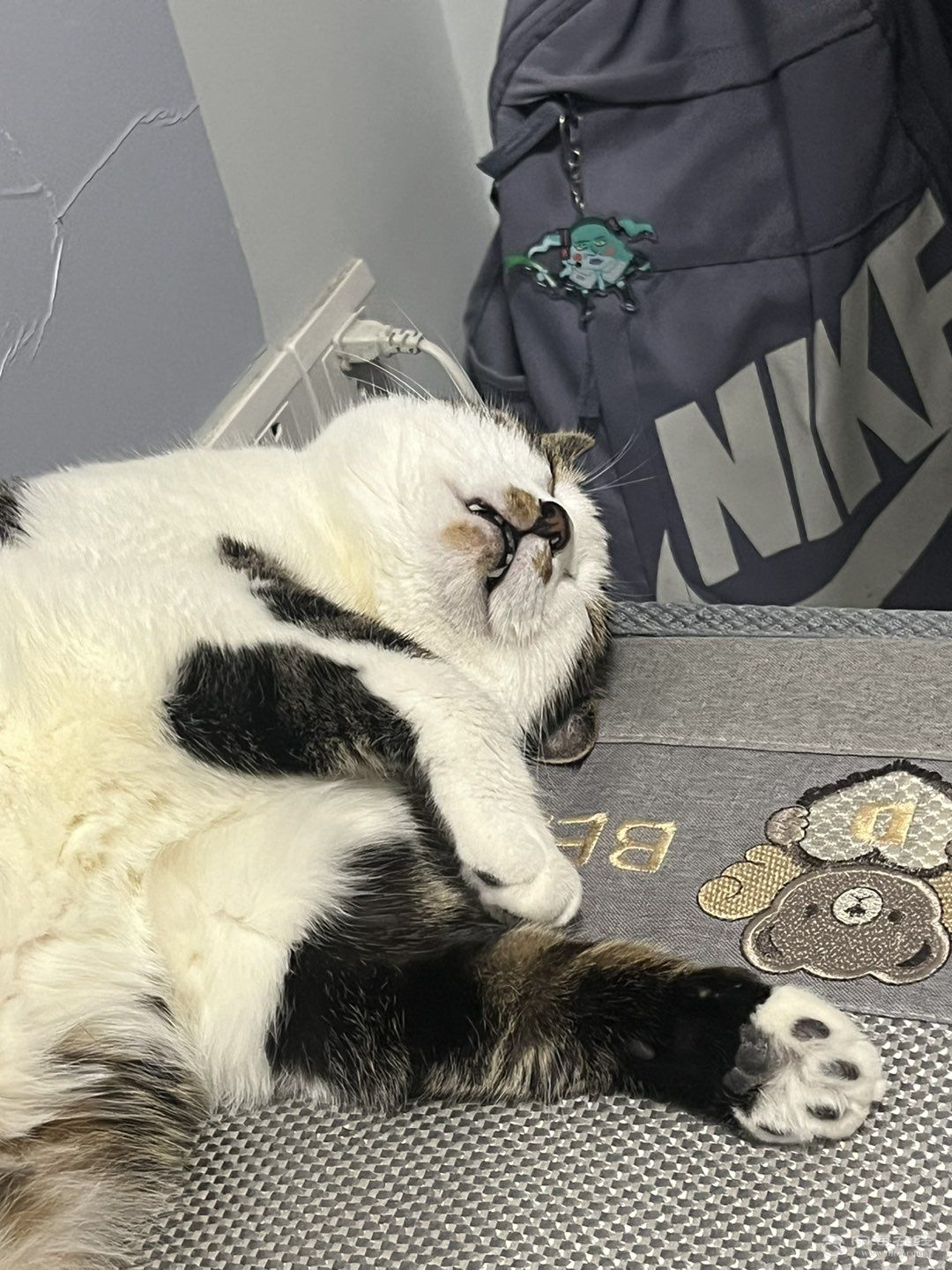 20250519150542front1_0_1297050_FpQgnfenADF5AwGL08UafHNXRgtl.jpg