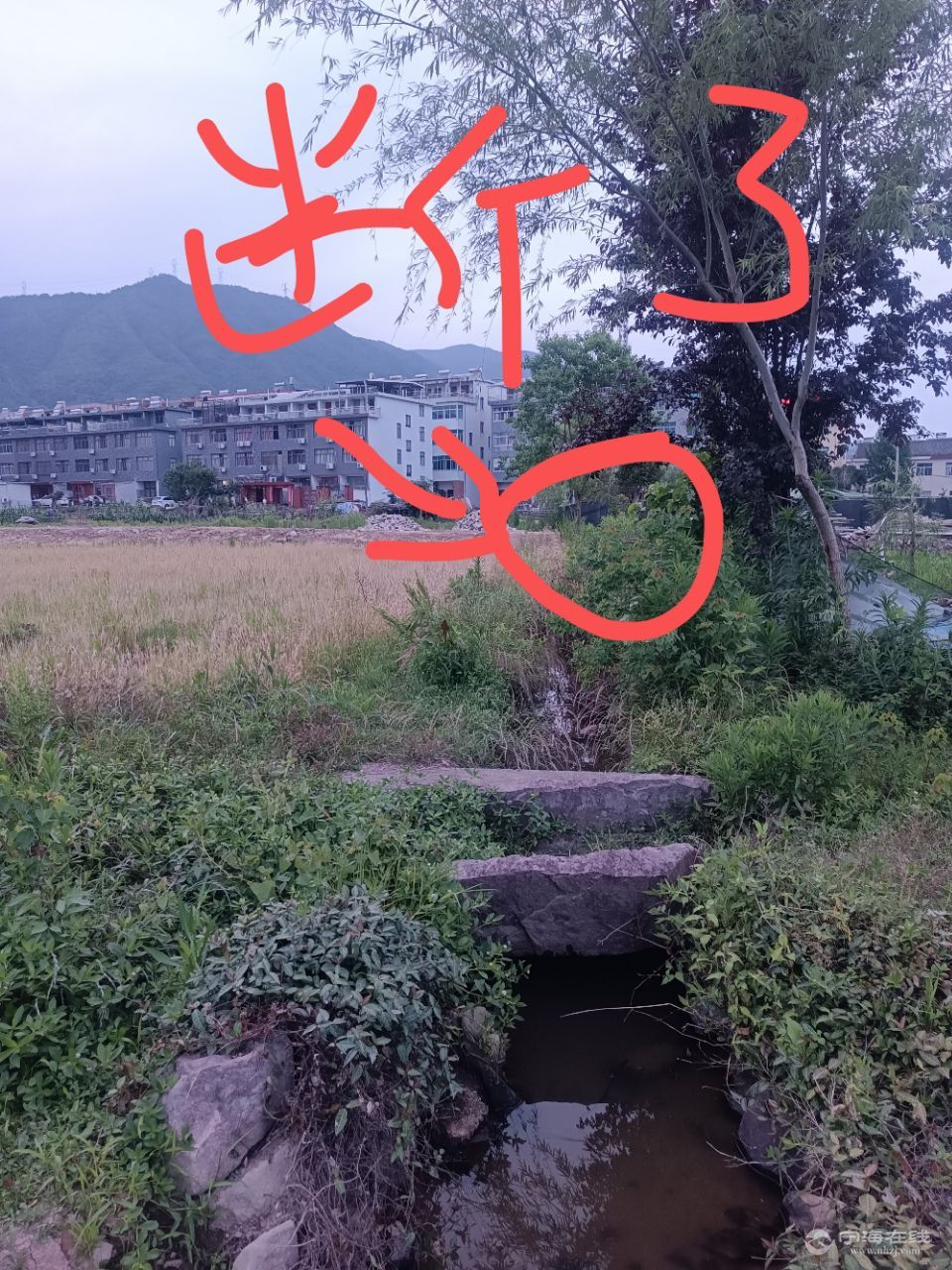 20250530184039front2_0_141846_FtU8ZeR8Y0mlUH14-dDcsMWfCpFR.jpg