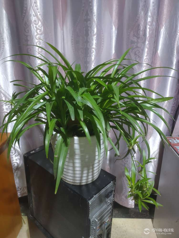 20250611081843front2_0_50758_Fmx6crqik0FHVAw2F2sFSq2Ykp_8.jpg
