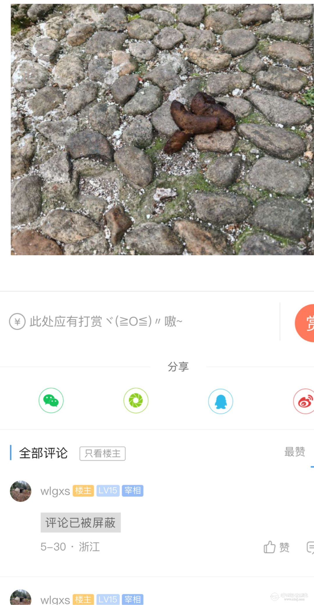 20250701221236front1_0_1231668_Fs5qELB0fhL7er4Focx4xayUqCE4.jpg