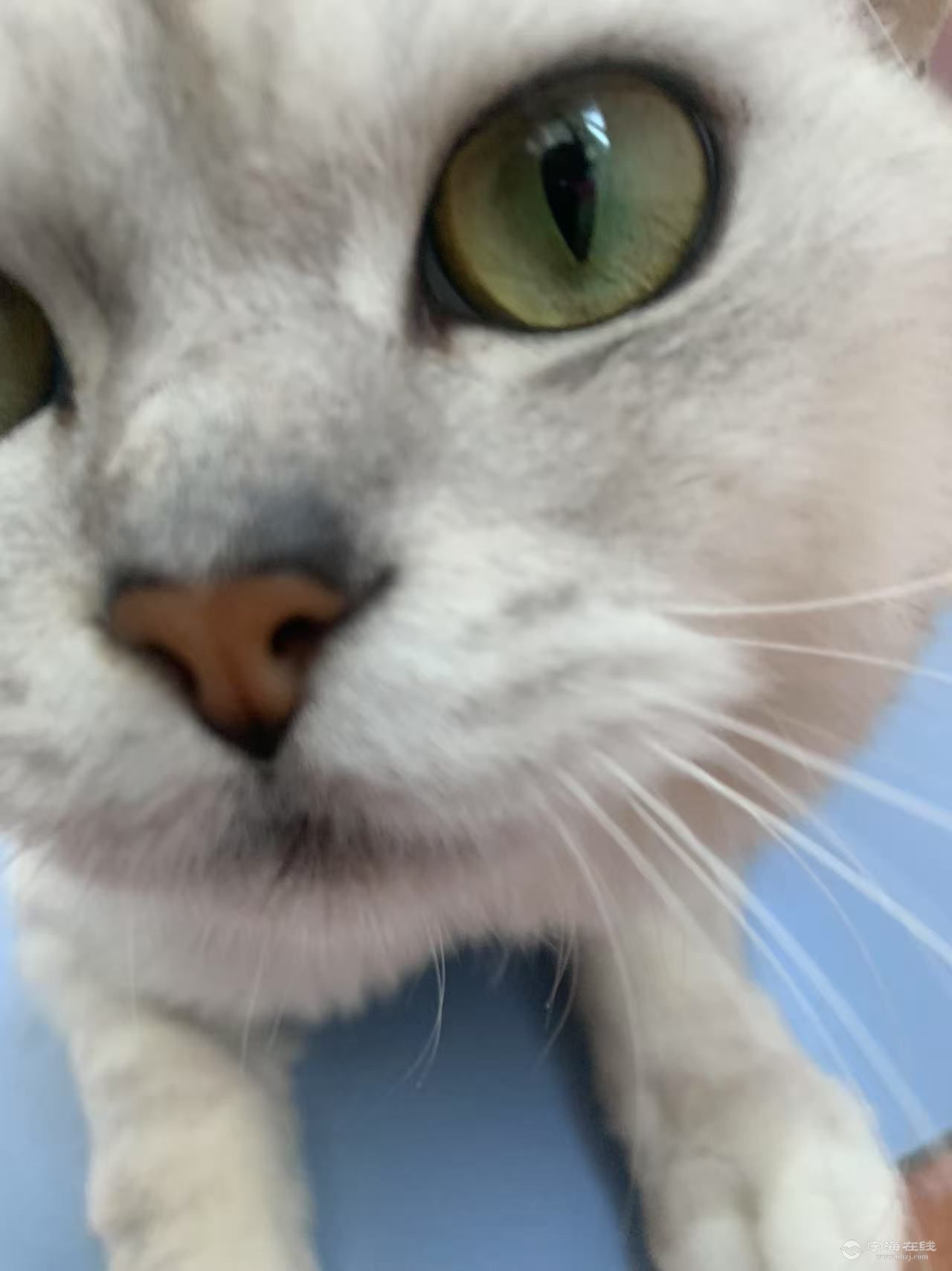20250711214835front1_0_577101_FqRSjko4jtzEBHNwa9rKw3iOb1wH.jpg