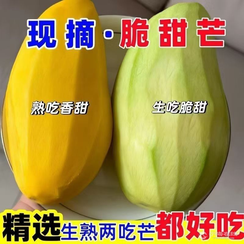 20250715185156front1_0_657923_FjDS_QhLdtF9ifs0ZCKLG7YNQtIY.jpg
