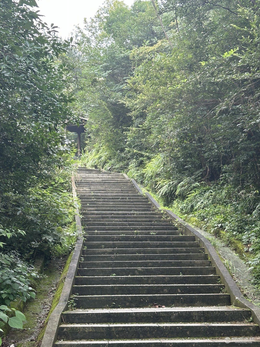 20250717073412front1_0_234876_FhhluIfHo7xnbcrla1KArkfpqJku.jpg