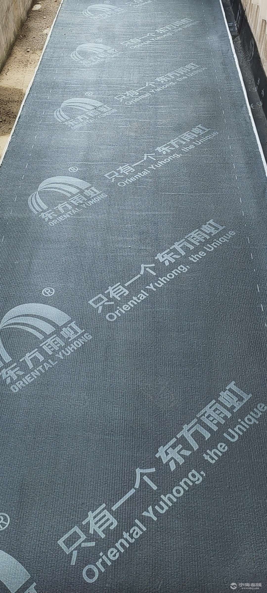 20250721065458front2_0_650587_FokWaH22v1510a0OFTPgO96VyRrp.jpg