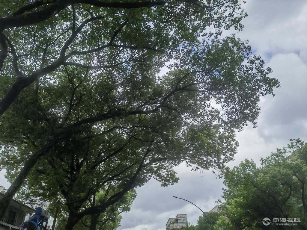 20250723125524front2_0_199308_Fs6F_adNMbsAVRMNdnIL-FjyUF6k.jpg