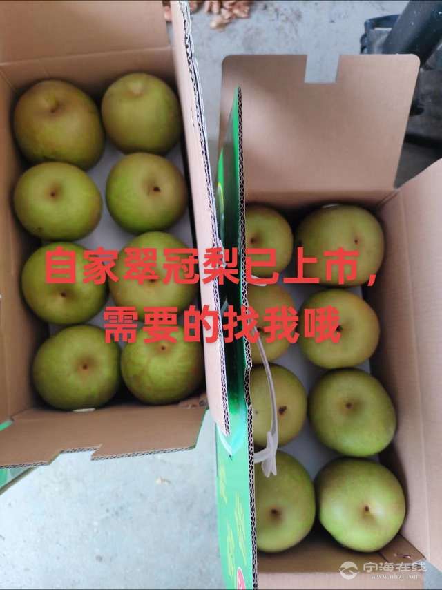 20250726154441front2_0_1295532_FtQ6eI1xvPNULn2xD9F8f6TBTvGN.jpg