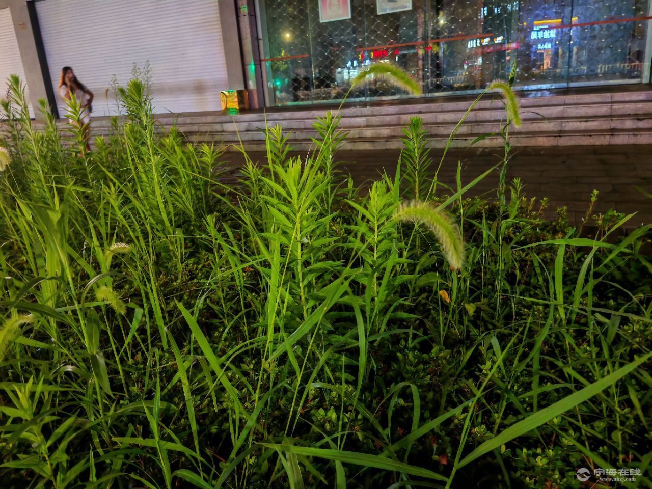 20250731120317front2_0_1244022_Fuo2ZB7P_jKTqCn4gc9URnVrNe1H.jpg