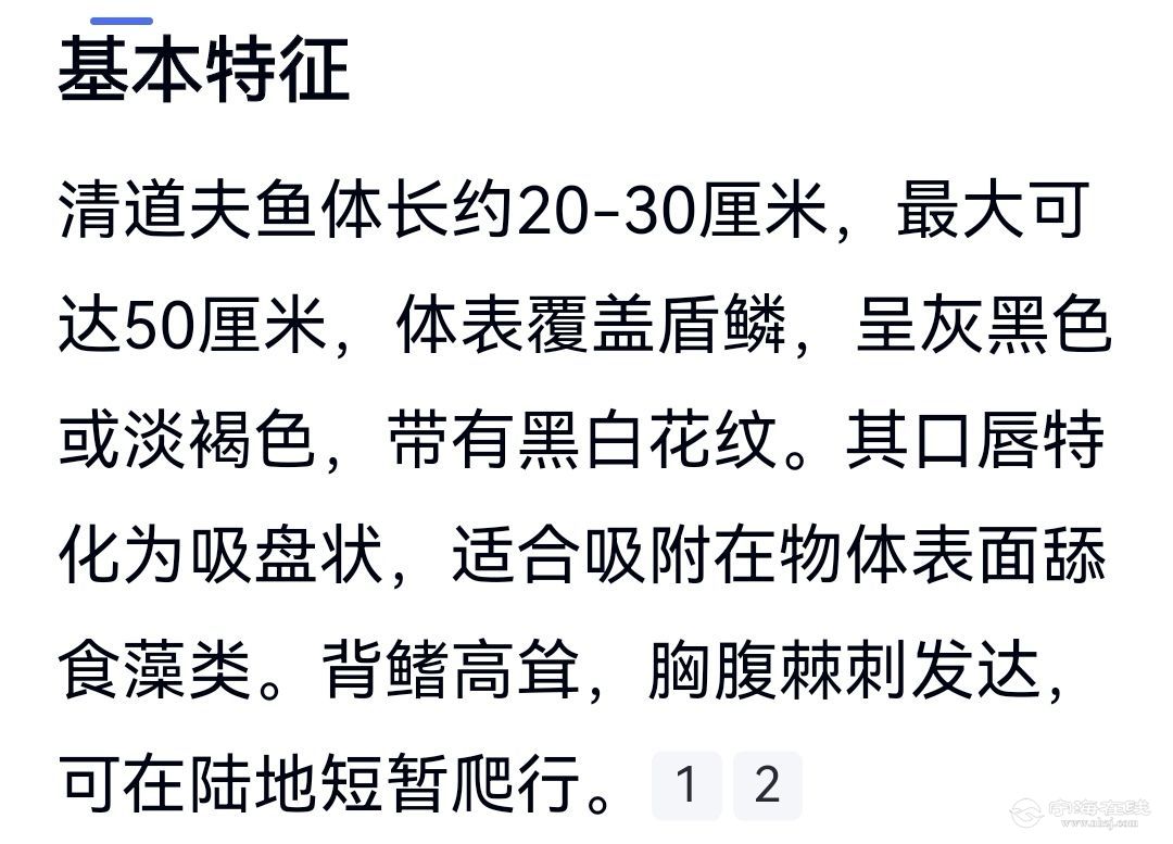 20250801114156front2_0_621784_FnrQezwTaeMz_2dP-IP-ho87Q4-K.jpg