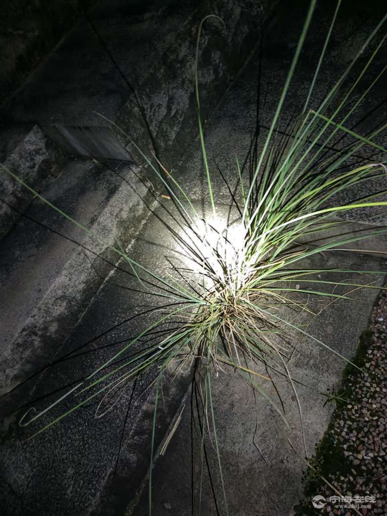 20250807111846front2_0_1244022_FjKje-2TY2F_de8EKDecwhvV57OX.jpg