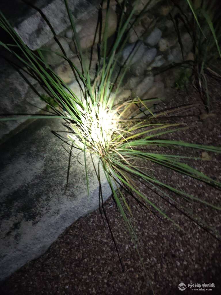 20250807111846front2_0_1244022_FlRz_ffwvlTCfxhwuXFKKB8TN8AD.jpg
