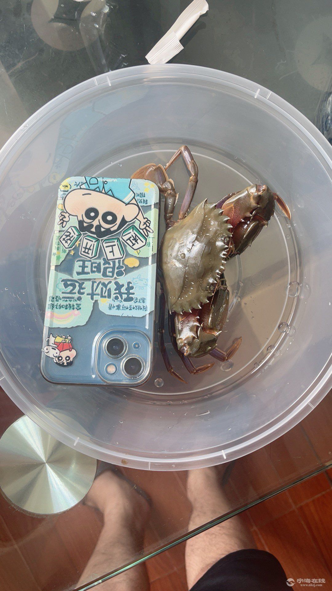 20250807212558front1_0_1302594_Frij_0A41oCci9EQlhO5-bcUEgbf.jpg