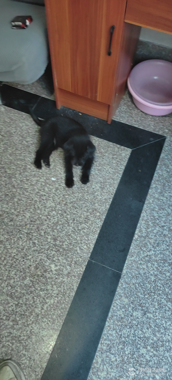 20250815072042front2_0_1302291_FuDNou5i8GD2nqpbtw2LOpHoU54E.png