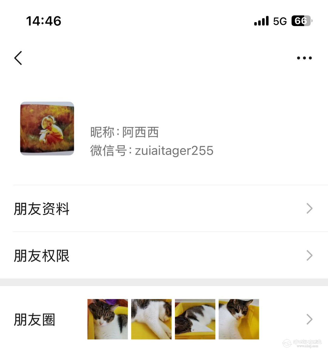 20250815144658front1_0_1204359_FqG8l-euPceiwhJ6xkrGV6260rXu.jpg