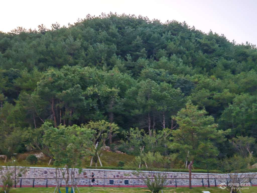 20250824101405front2_0_1244022_FniL5XwpOftqRa0kPE5Mdd3-LaUd.jpg