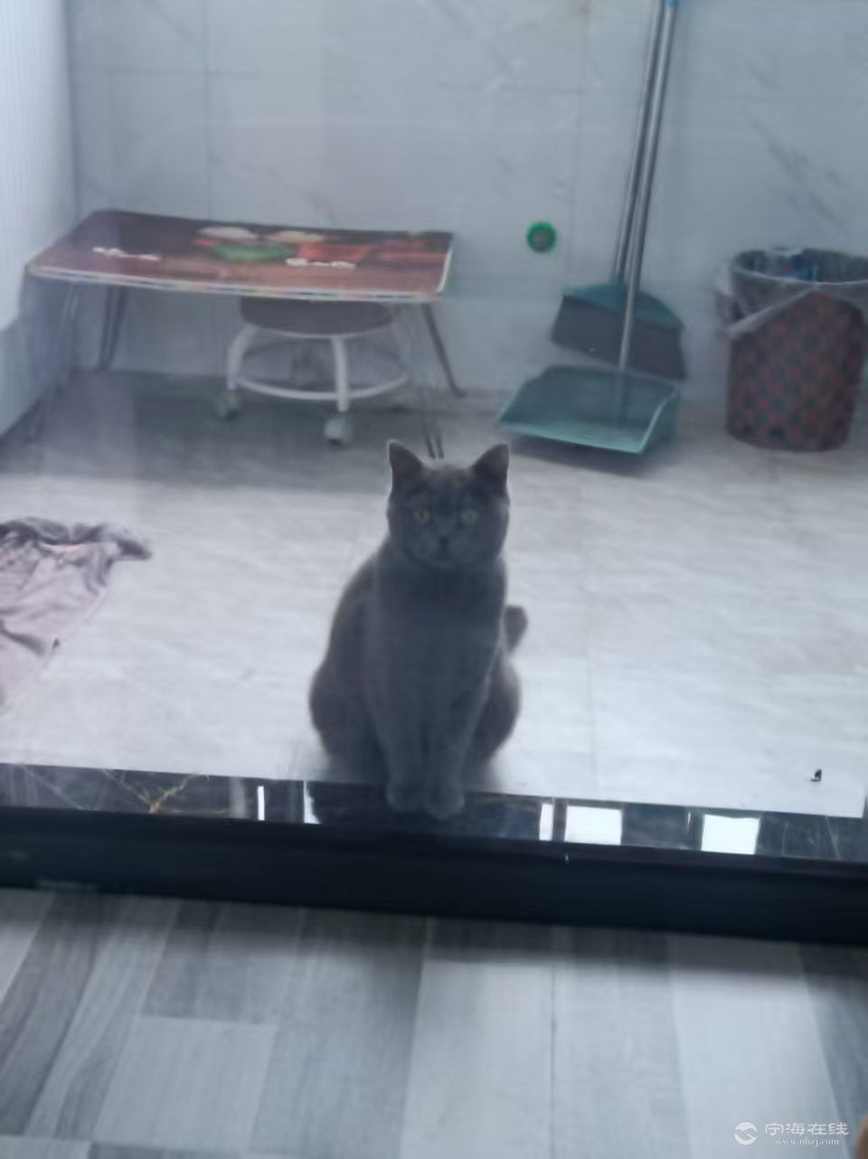 20250827213045front1_0_239286_FooI1o1Oiz7hID-P1PSdovJVfUVW.jpg