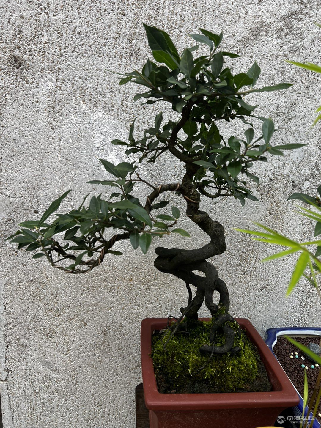 20250916131700front1_0_1290844_FsTAjoJ-BS8CjXhNmDQK79zivw-0.jpg