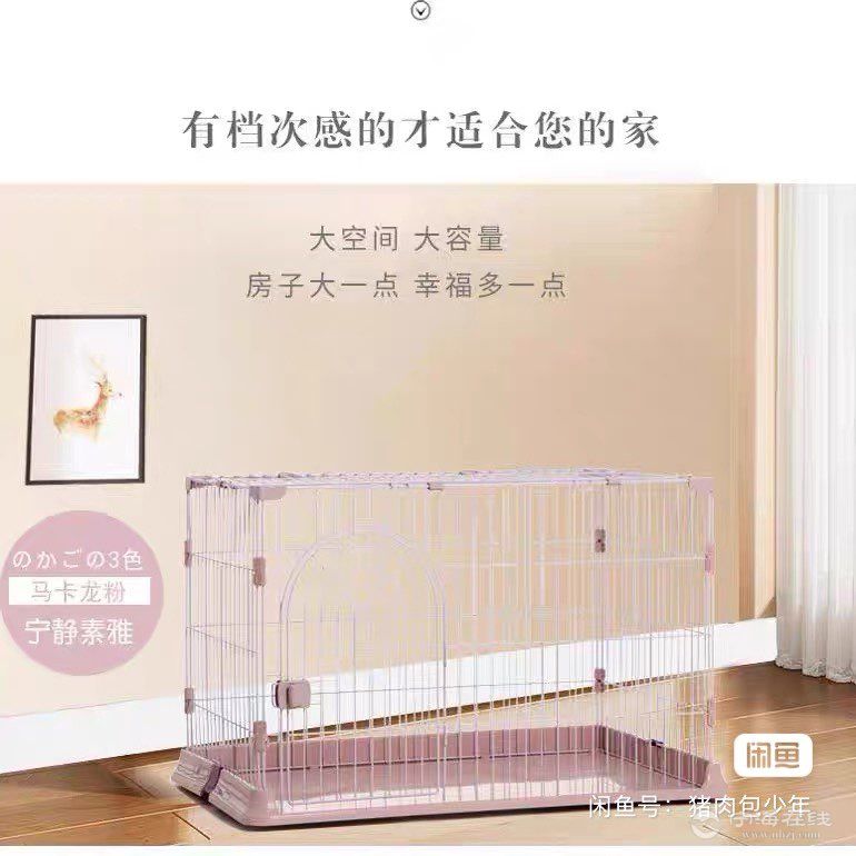 20250922154306front1_0_82046_Fk-5BeD4id1v9UU5qjwKkSgmOYIR.jpg