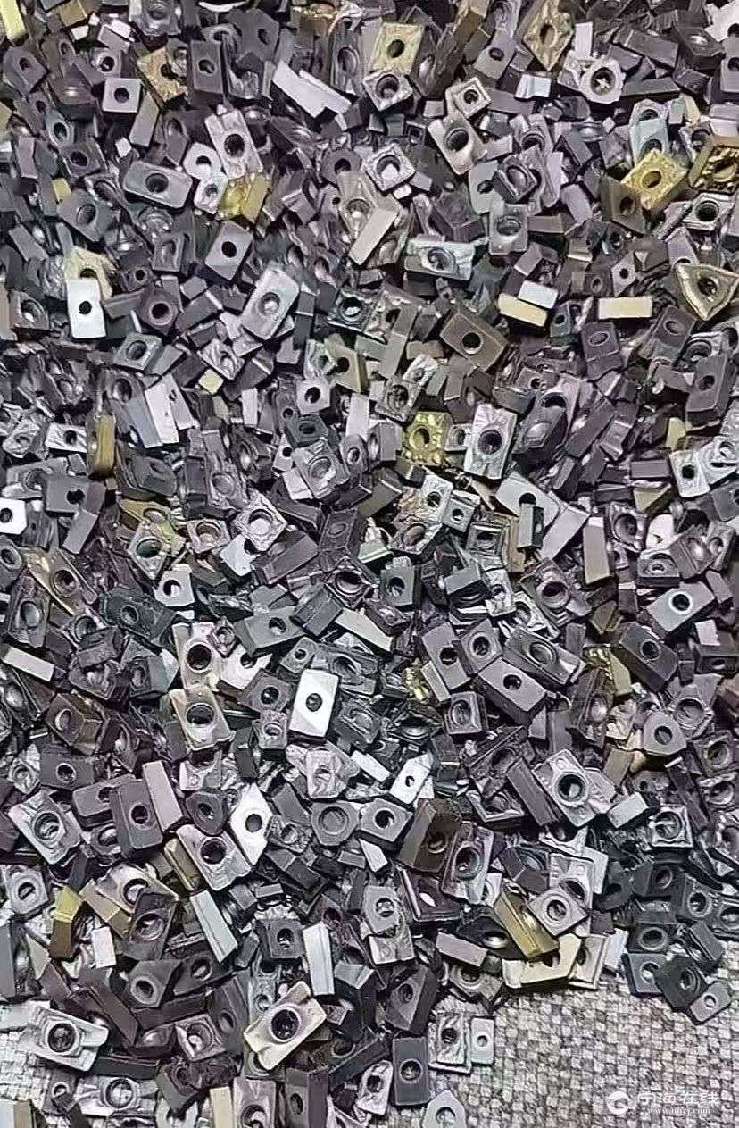 20251026142844front2_0_1304081_FlIwV_bLzTmuCzv_zqW18vWKRxFx.jpg