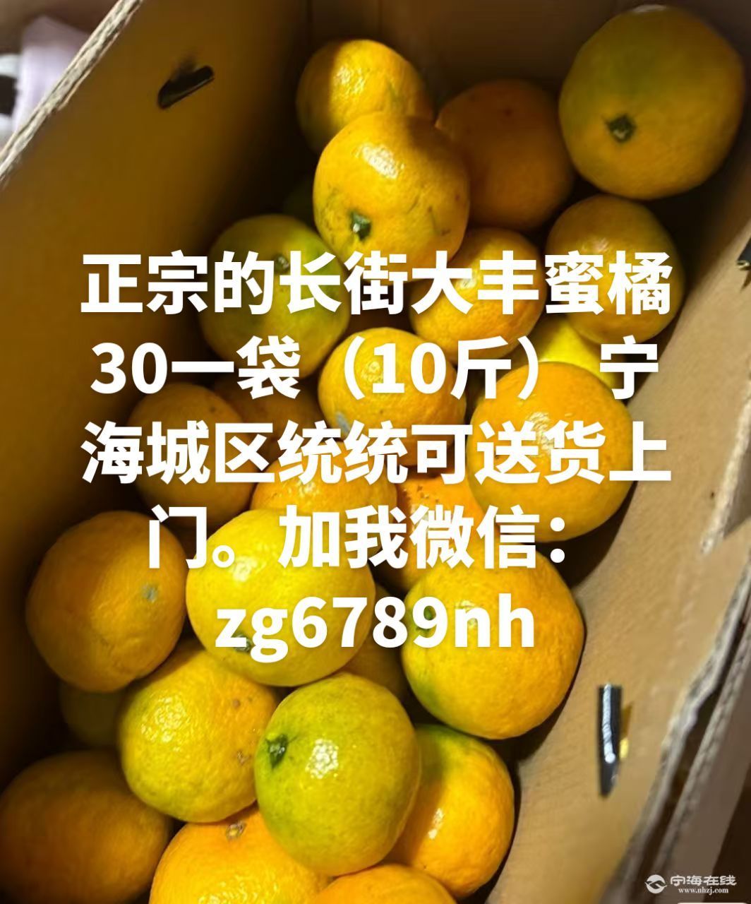 20251027114154front2_0_1297019_Fqb8_oIHp2d9A8p61FMisKu9sfqe.jpg