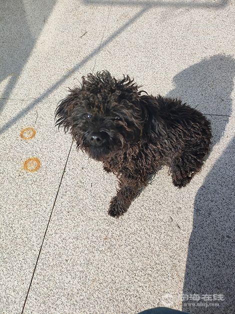 ���ڵ�����